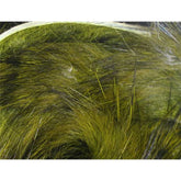 Tof Rabbit Strip Duotone Tiger - casapintat - TOF